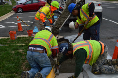 Concrete Curb Repair and Replacement
