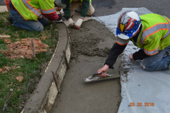 Concrete Curb Repair and Replacement